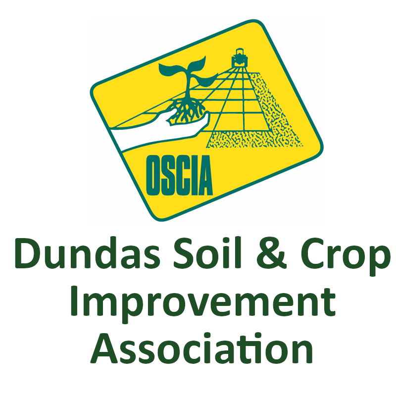 Dundas scia